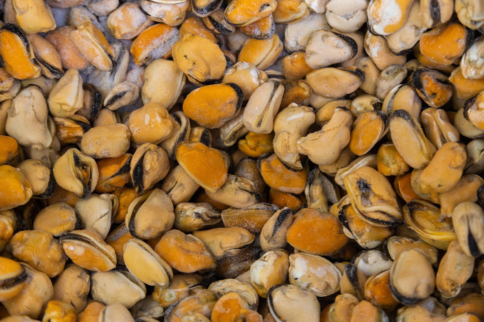 Frozen Shellfish – Namara