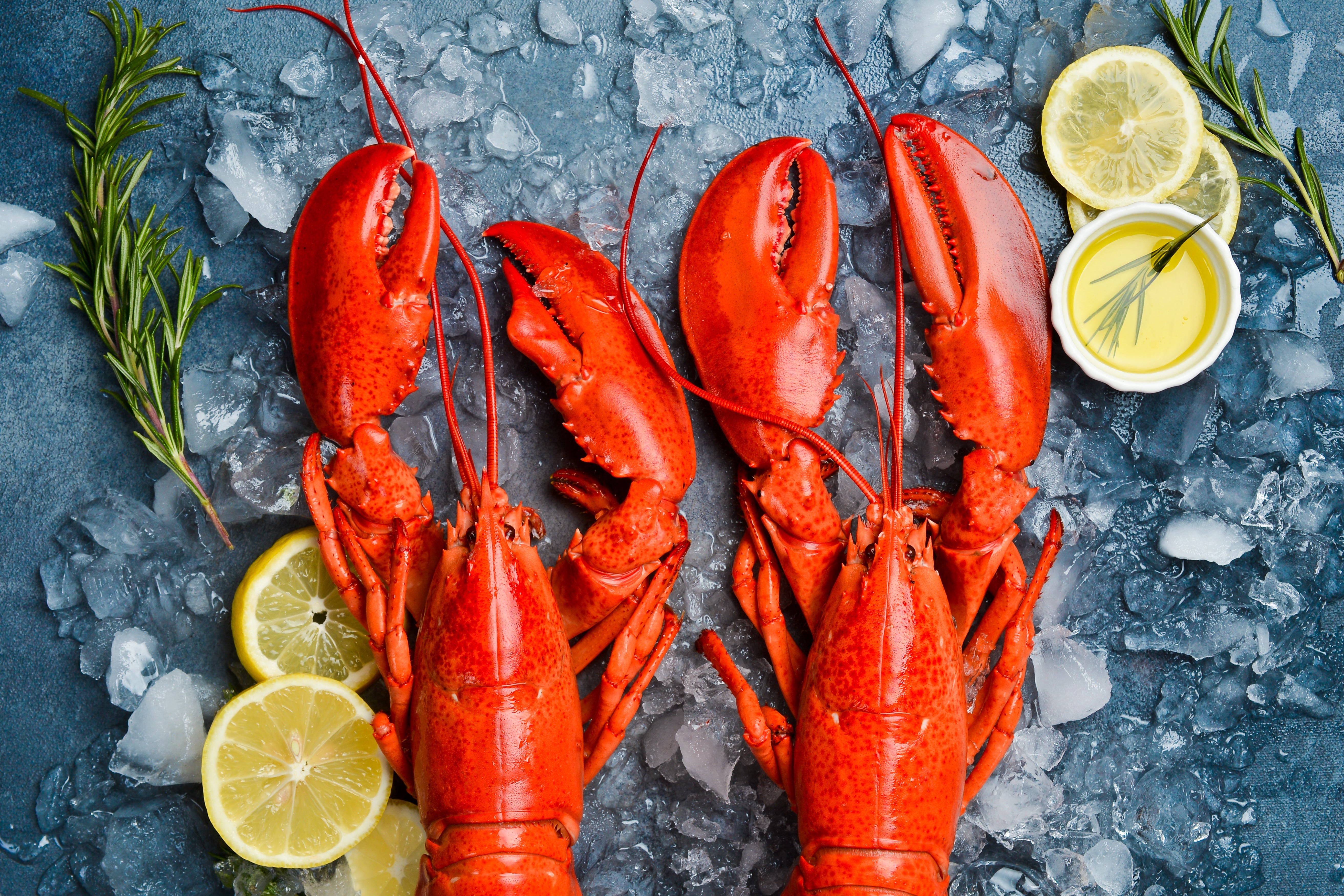 Hebridean Lobster