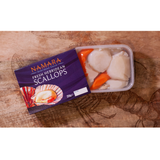 Hebridean King Scallops Meat - Regular Size  Scallops