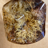 Carrageen Moss - Sun Bleached
