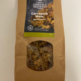 Carrageen Moss - Sun Bleached