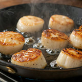 Hebridean King Scallops Meat - Regular Size  Scallops