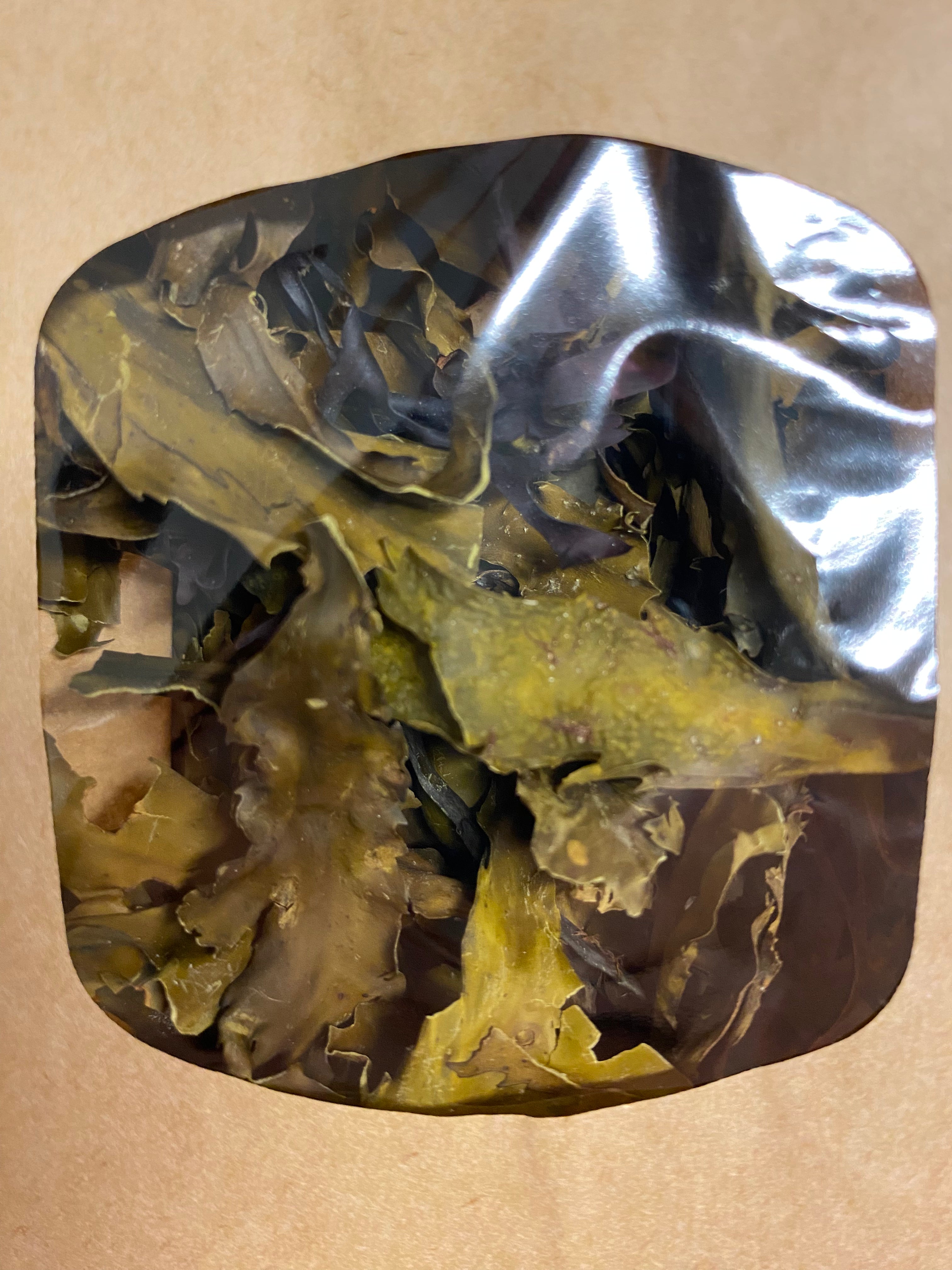 Nice Wrack Serrated Wrack – Namara