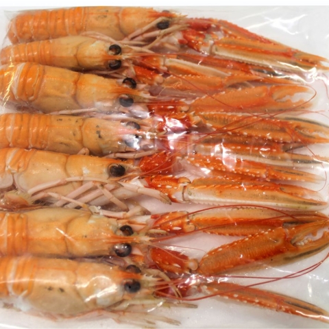 Cooked Hebridean Langoustine - 1kg N3 - Small